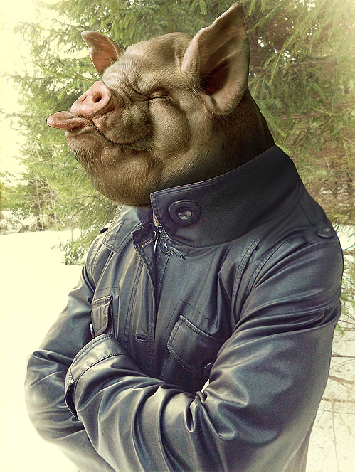 499x665, 170 Kb / свенья в реале, не фотошоп