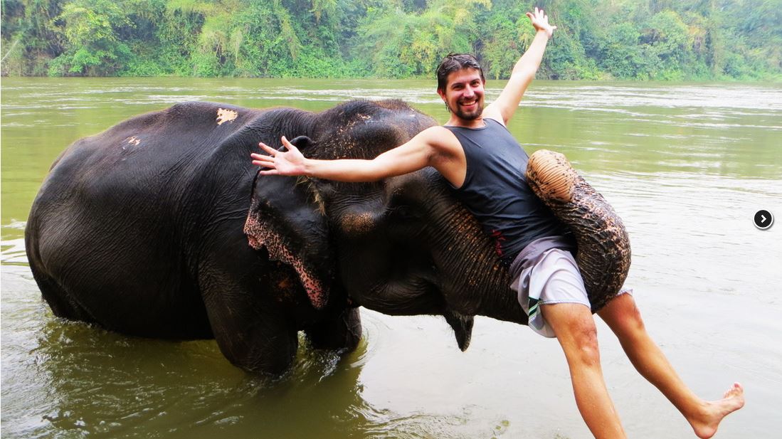 1099x617, 127 Kb / слон, хобот, тайланд