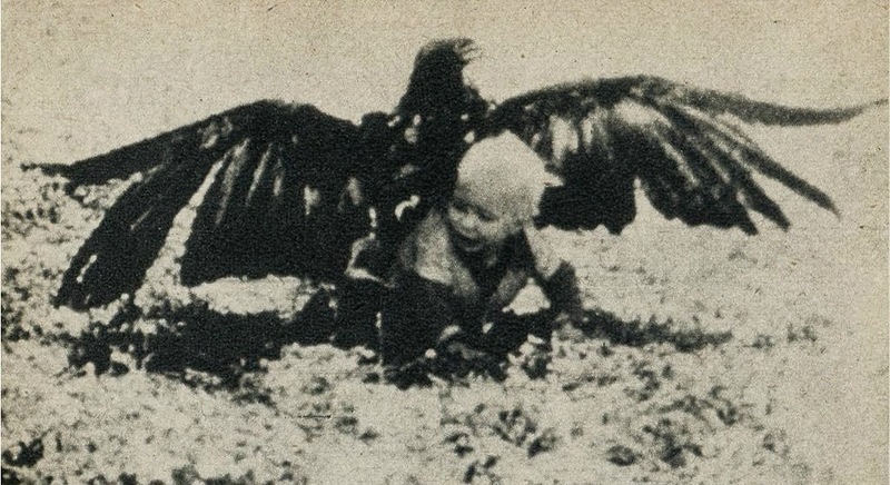 800x436, 156 Kb / орел, девочка, спасение