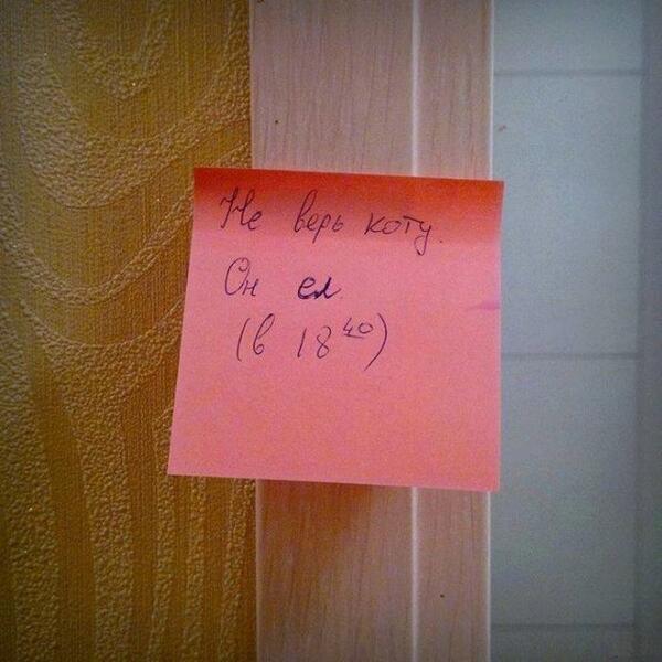 600x600, 45 Kb / не, верь, коту, записка, время