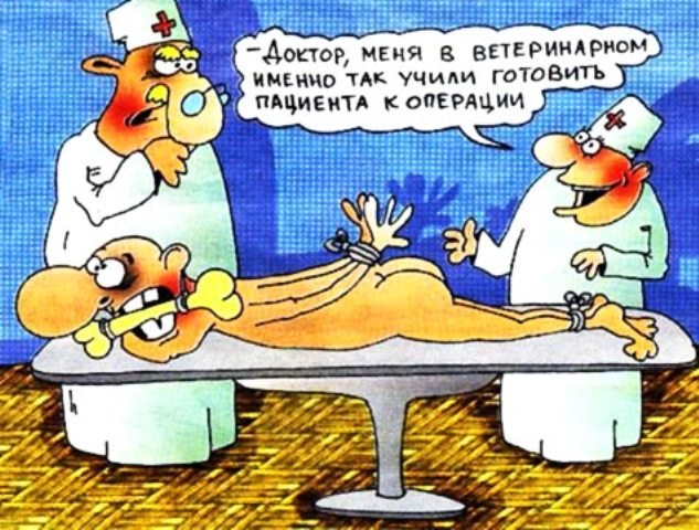 633x480, 99 Kb / врач, больной, кость, ветеринар