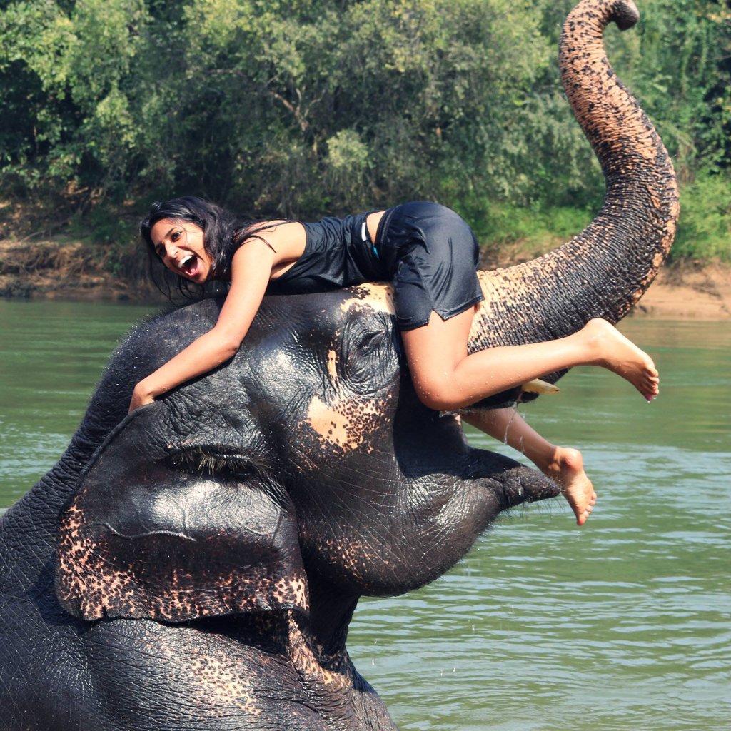 1024x1024, 275 Kb / слон, брюнетка, мокрая