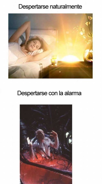 417x750, 52 Kb / пробуждение, будильник