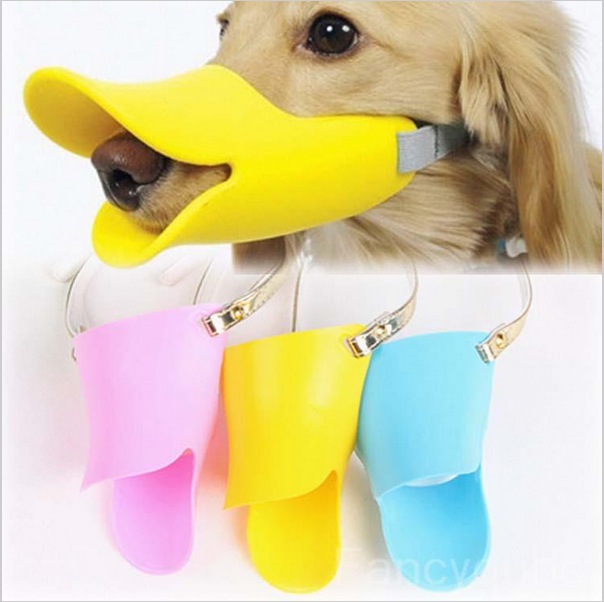 604x602, 74 Kb / Собака, утка, клюв,  намордник