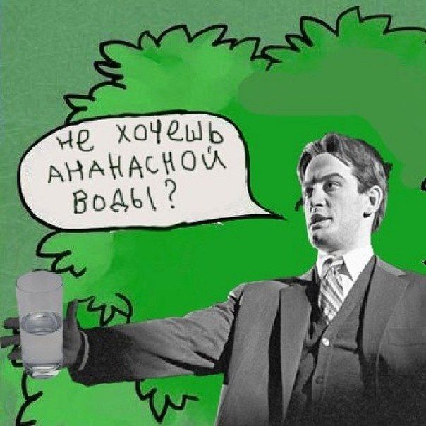 604x604, 62 Kb / ананасовая вода, стакан, куст