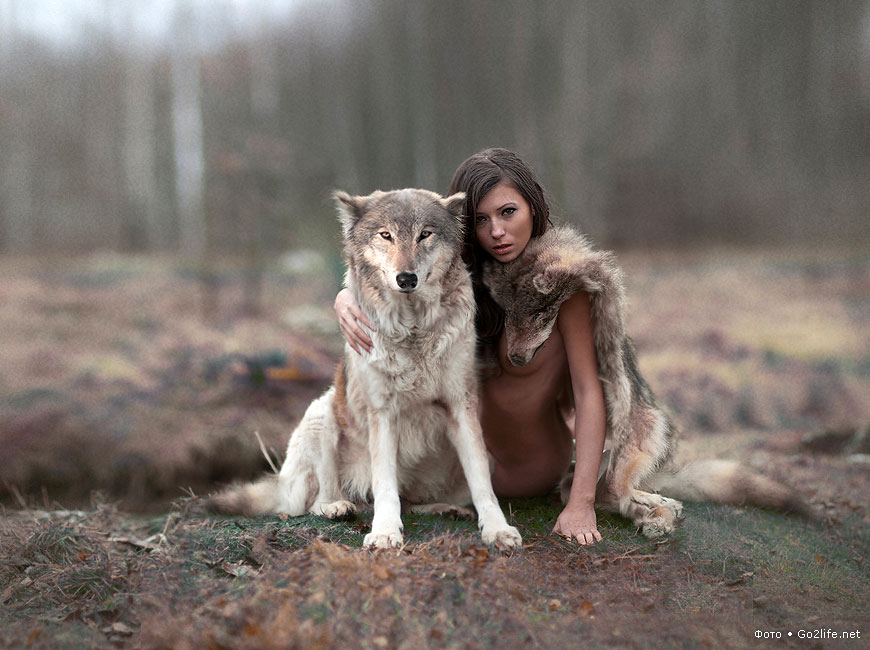 870x650, 109 Kb / сиськи, волки