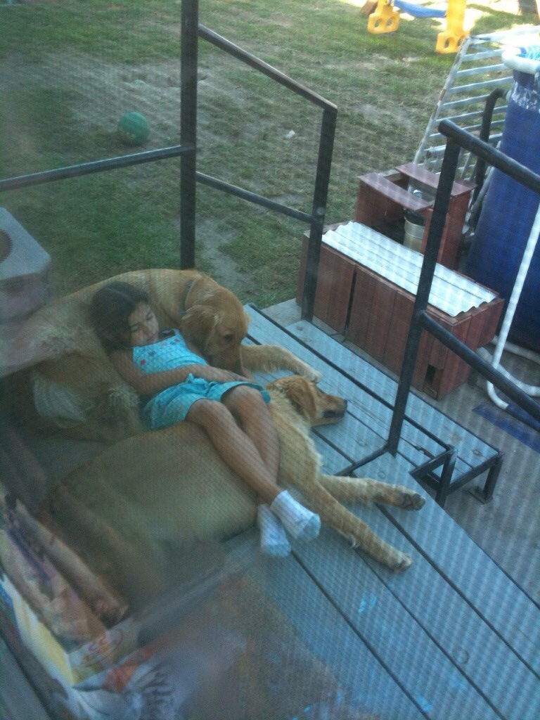 768x1024, 250 Kb / собаки, девочка, вольер, клетка