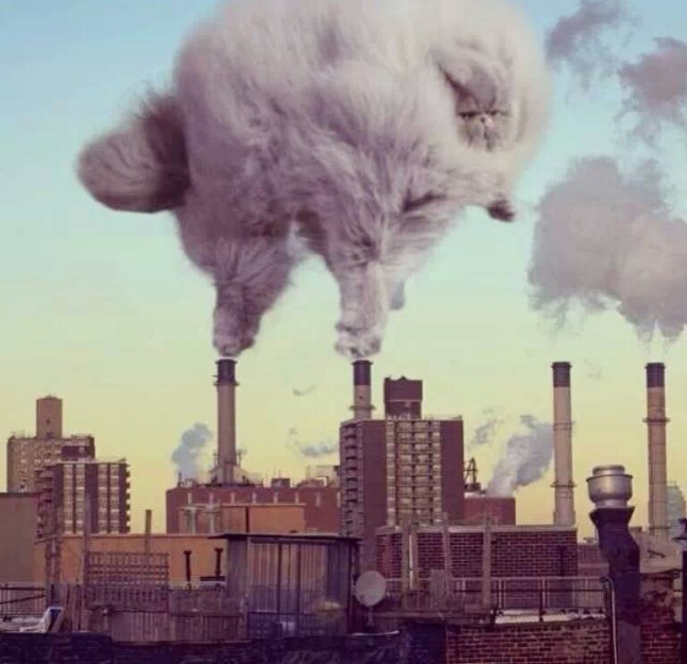 768x742, 91 Kb / кот, Дымок, трубы, завод