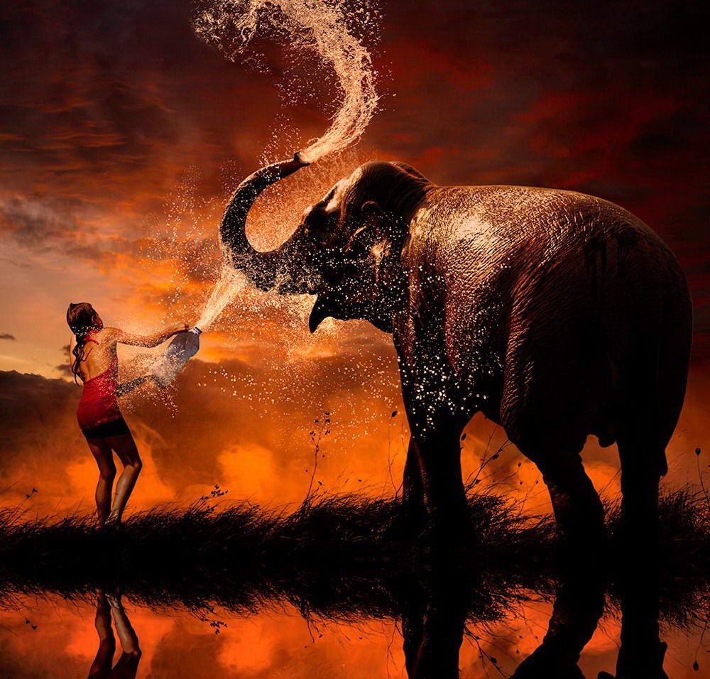 1000x956, 165 Kb / слон, хобот, вода, фонтан