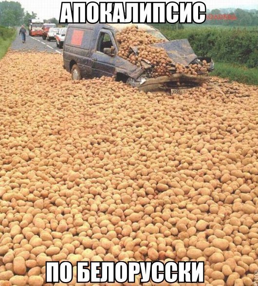 530x586, 107 Kb / картошка, апокалипсис