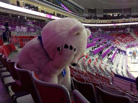 560x420, 45 Kb / мишка, символ, олимпиада, грусть