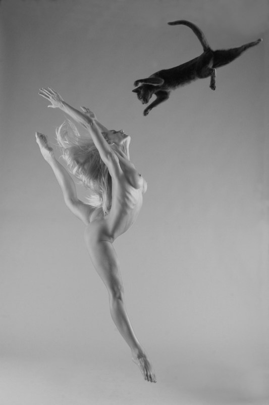 533x800, 30 Kb / прыжок, кошка, ч/б, балет
