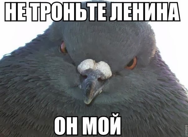 604x441, 44 Kb / ленин, голубь