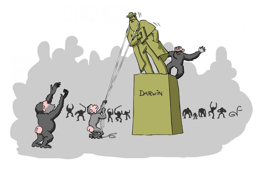 863x576, 46 Kb / обезьяны, дарвин, памятник