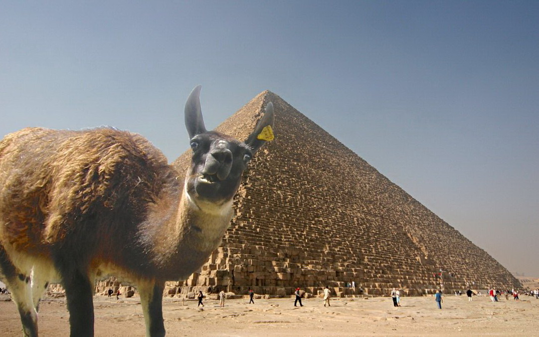 1081x675, 228 Kb / лама, пирамида, египет