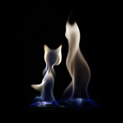 400x400, 10 Kb / огонь, котики