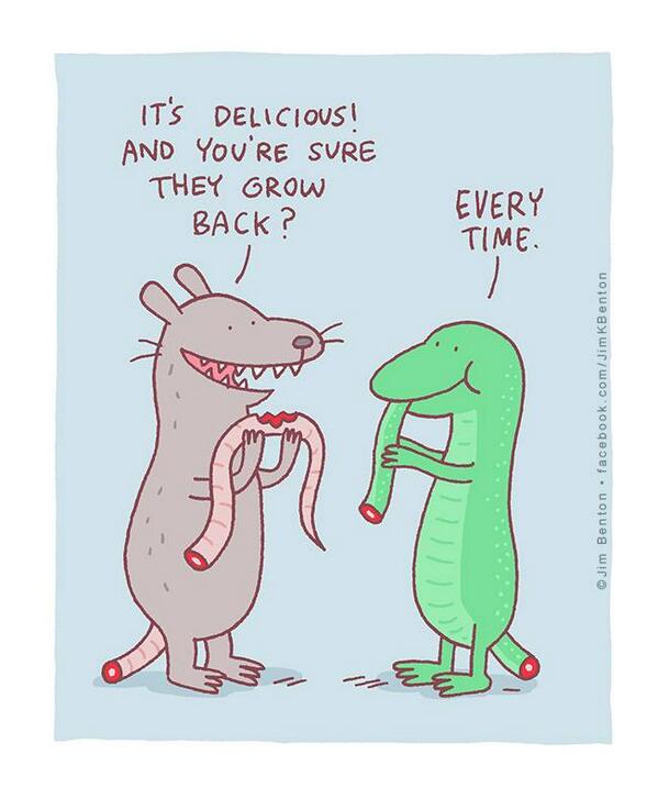 599x737, 39 Kb / ящерик, крыса, хвост