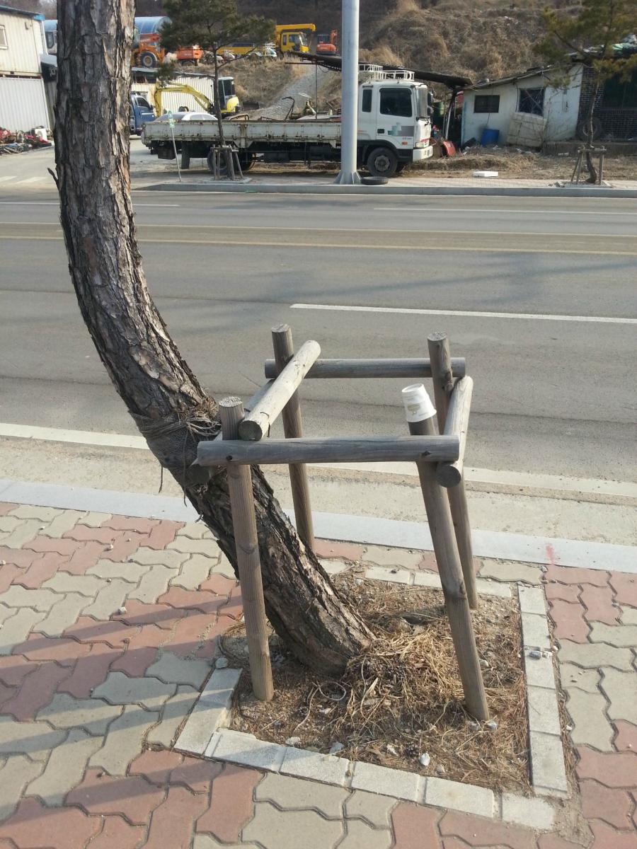 900x1200, 181 Kb / ствол, дерево, ограждение, забор