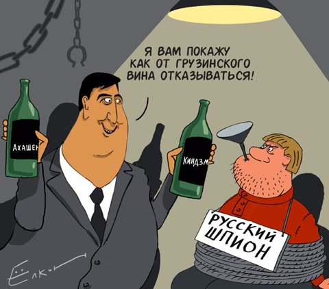 480x422, 58 Kb / саакашвили, шпион, вино
