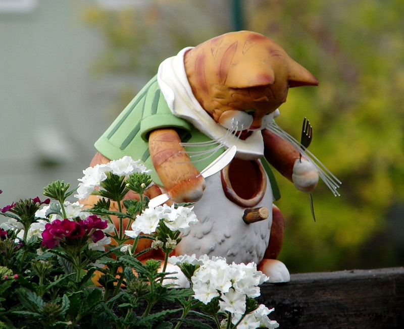 800x652, 117 Kb / скворечник, Киев, парк Рыльского