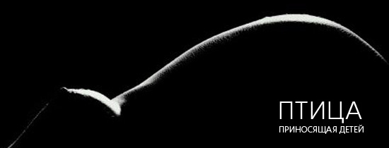 550x210, 17 Kb / ч/б, птица, дети