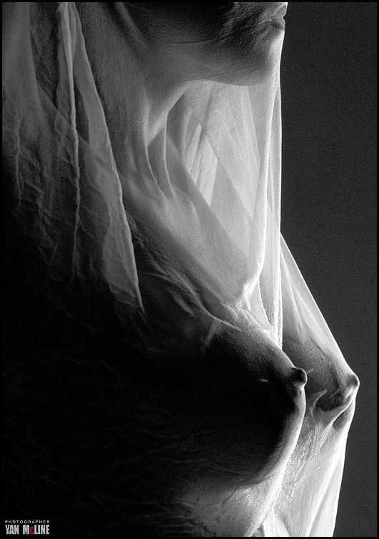 531x756, 66 Kb / ч/б, сиськи, тюль, фата