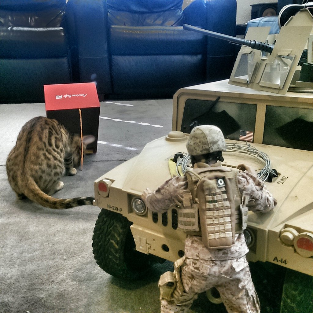 1024x1024, 207 Kb / морпех, леопард, ловушка