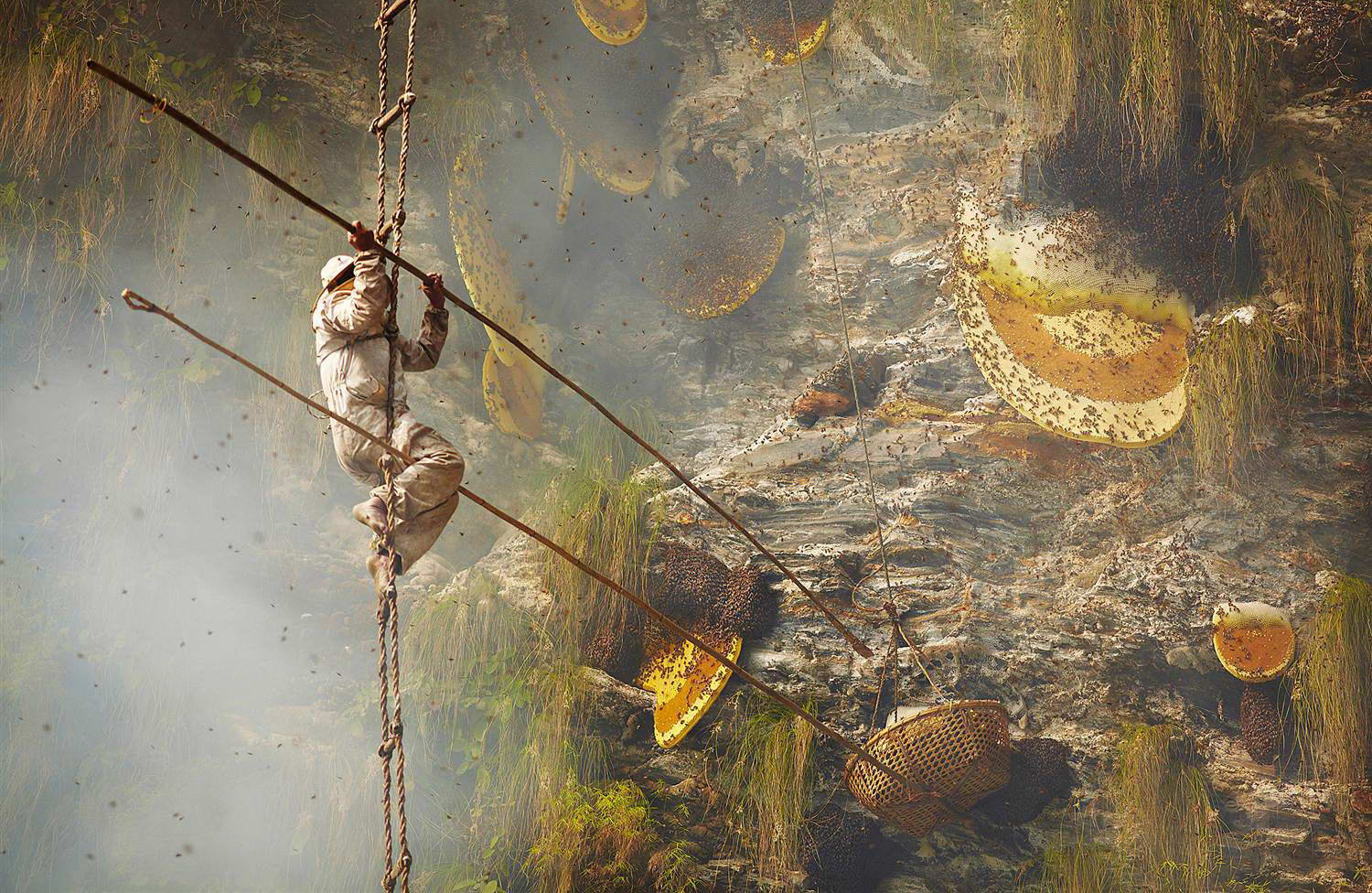 1500x976, 326 Kb / мед, скала, добыча