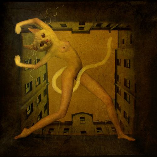 500x500, 34 Kb / котодевушка, хвост, дом