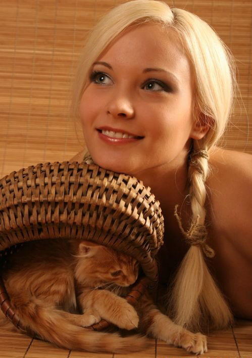 499x708, 73 Kb / кот, блондинка