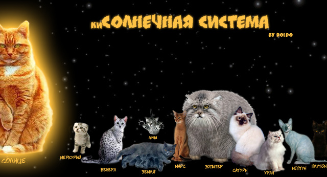 640x346, 77 Kb / кошки, солнечная, система