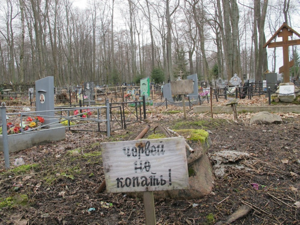 1000x750, 320 Kb / кладбище, черви