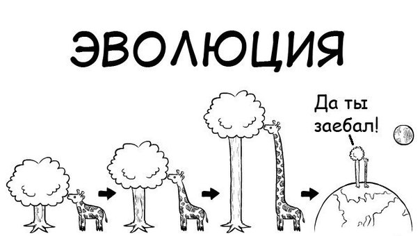 604x340, 35 Kb / жираф, эволюция