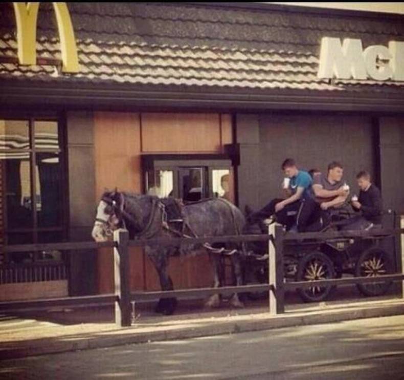 790x742, 62 Kb / макдональдс, макдрайв, лошадь, телега