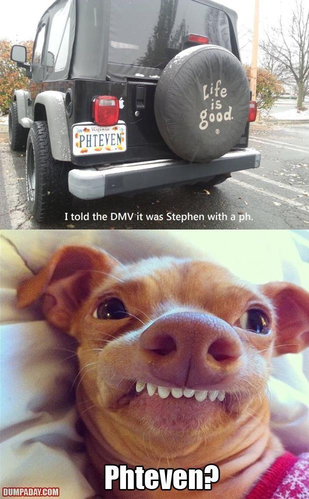 620x1000, 97 Kb / номер, джип, собака, phteven