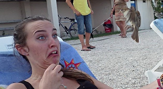 630x345, 86 Kb / птица, испуг