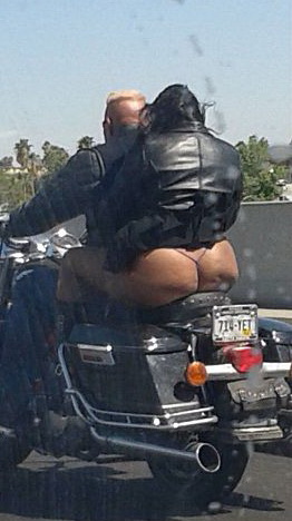 262x468, 44 Kb / мотоцикл, жопа