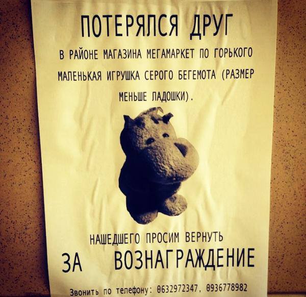 600x582, 53 Kb / объявление, бегемот