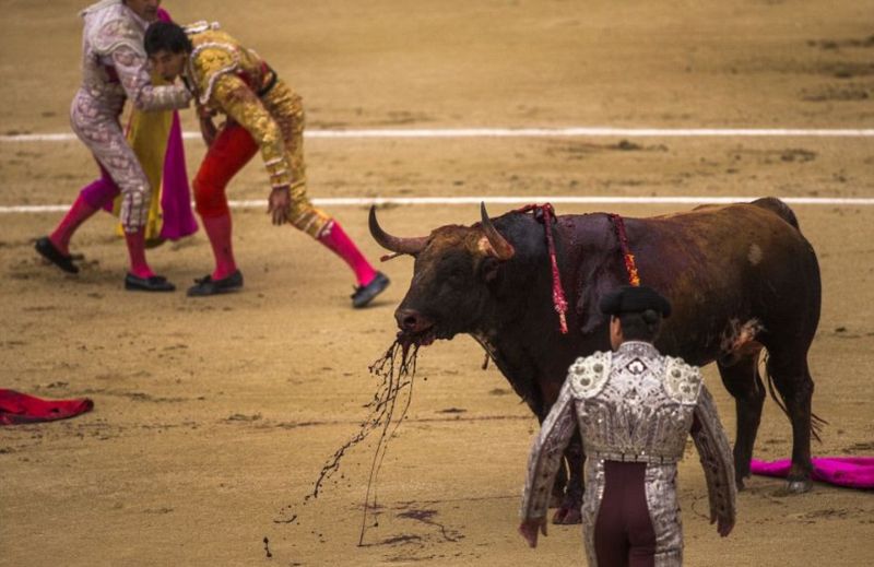 800x519, 62 Kb / коррида, тореадор, кровь, песок, арена