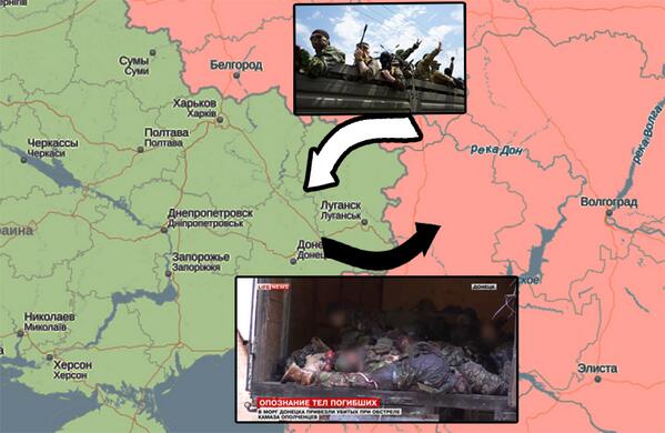 599x390, 40 Kb / русские, террористы, собаки, Украина, memento mori