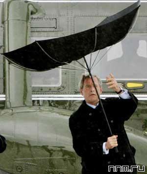 300x356, 16 Kb / Буш, зонт