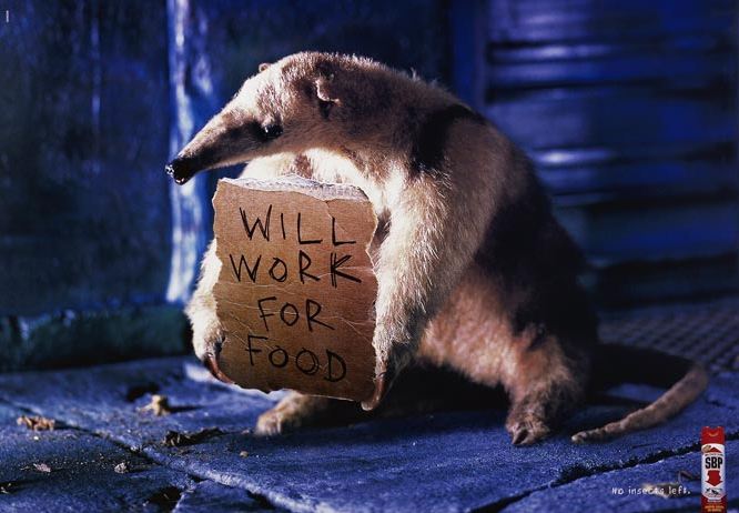 666x462, 195 Kb / муравьед