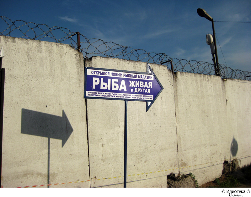 800x630, 203 Kb / рыба, живая, другая, указатель