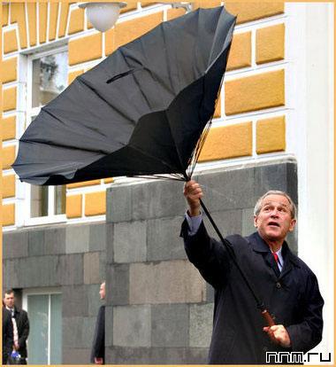 380x414, 29 Kb / Буш, зонт