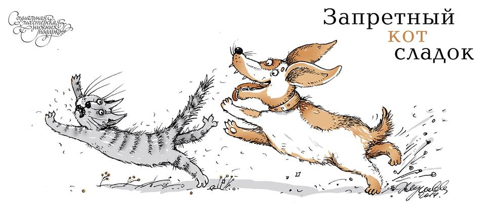 960x415, 55 Kb / кот, кошка, пёс, собака, погоня, заперт