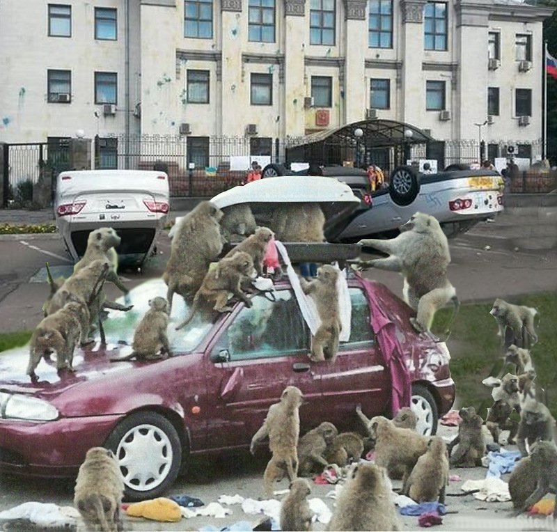 800x764, 138 Kb / посольство, РФ, на, Украине, обезьяны, автомобили, российский, флаг, политита