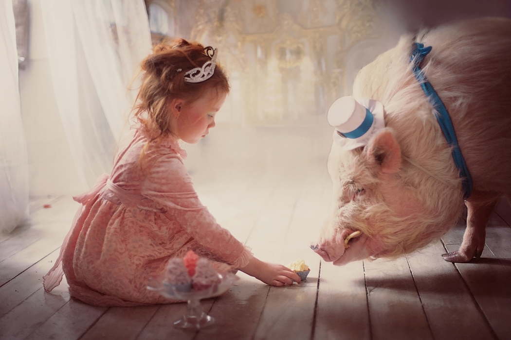 1050x700, 331 Kb / девочка, свин, Катя, Йе, Арина, Бонапарт