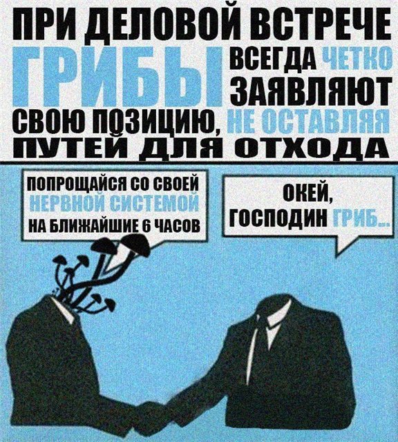 576x640, 130 Kb / грибы, встреча, заголовок