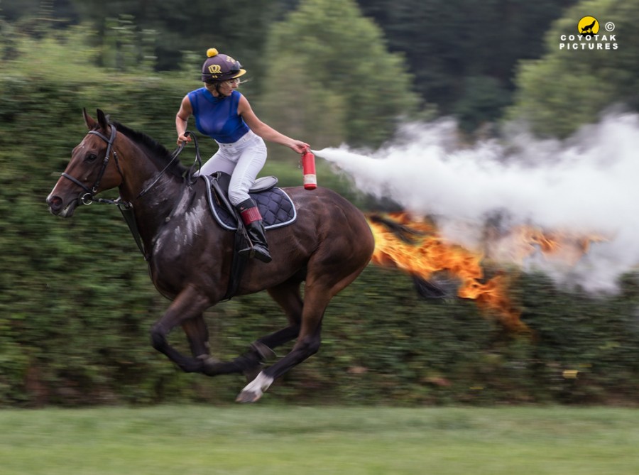 900x669, 111 Kb / конь, огонь, дым, огнетушитель