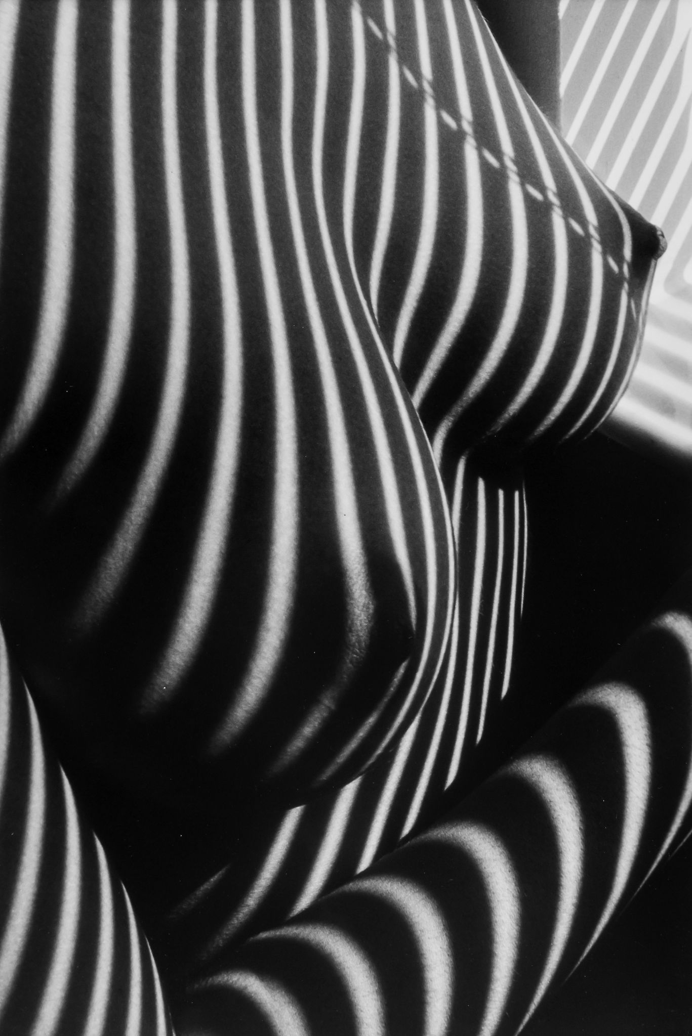 1367x2048, 268 Kb / свет, тень, жалюзи, ч/б